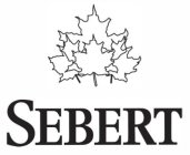 SEBERT