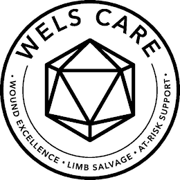 WELS CARE · WOUND EXCELLENCE · LIMB SALVAGE · AT-RISK SUPPORT ·