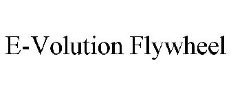 E-VOLUTION FLYWHEEL