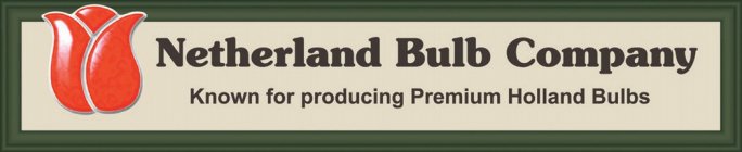 NETHERLAND BULB COMPANY KNOWN FOR PRODUCING PREMIUM HOLLAND BULBS
