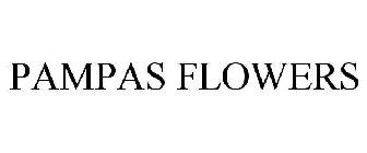 PAMPAS FLOWERS