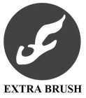 EXTRA BRUSH
