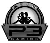 P3 GAMING