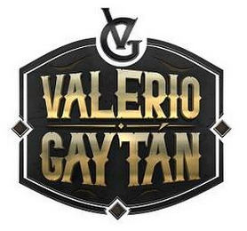 VG VALERIO GAYTÁN