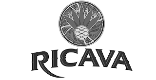 RICAVA