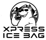 XPRESS ICE BAG