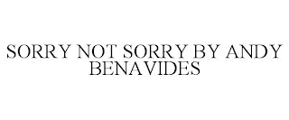 SORRY NOT SORRY BY ANDY BENAVIDES