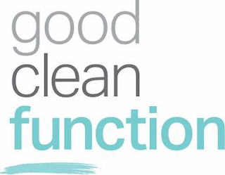 GOOD CLEAN FUNCTION