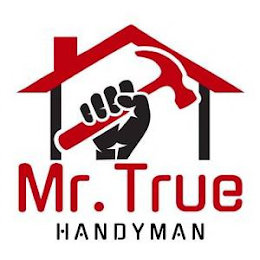 MR. TRUE HANDYMAN