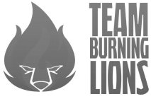 TEAM BURNING LIONS