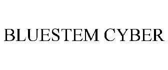 BLUESTEM CYBER