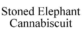 STONED ELEPHANT CANNABISCUIT