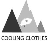 COOLING CLOTHES