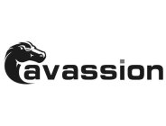 CAVASSION