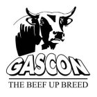 GASCON THE BEEF UP BREED