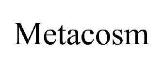 METACOSM