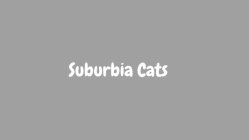 SUBURBIA CATS