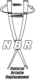 NBR NATURAL BRISTLE REPLACEMENT