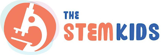 THE STEMKIDS