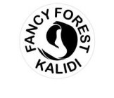 KALIDI FANCY FOREST