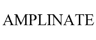 AMPLINATE