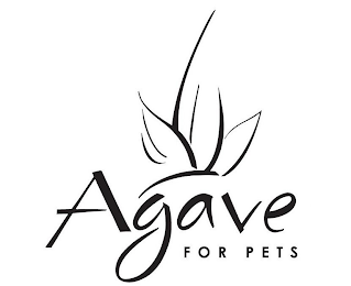 AGAVE FOR PETS