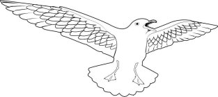 Image Trademark