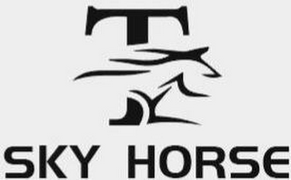 T SKY HORSE