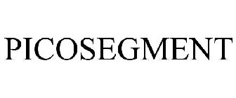 PICOSEGMENT