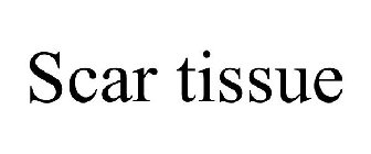 SCAR TISSUE