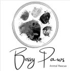 BOSSY PAWS ANIMAL RESCUE