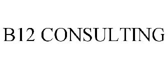 B12 CONSULTING