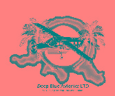 DEEP BLUE AVIONICS LTD AIRCRAFT ENGINEERING AND CERTIFICATION