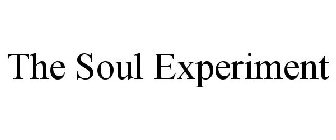 THE SOUL EXPERIMENT
