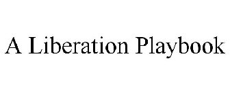 A LIBERATION PLAYBOOK