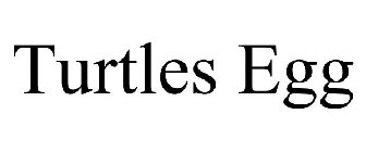 TURTLES EGG