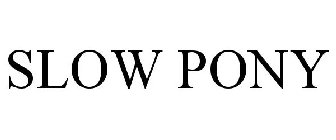 SLOW PONY