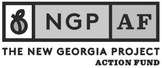 NGP AF THE NEW GEORGIA PROJECT ACTION FUND