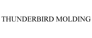 THUNDERBIRD MOLDING