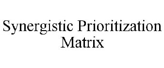 SYNERGISTIC PRIORITIZATION MATRIX