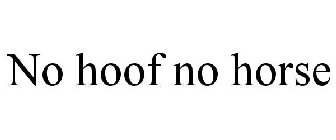 NO HOOF NO HORSE
