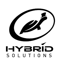 HYBRID SOLUTIONS