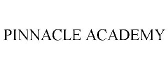 PINNACLE ACADEMY