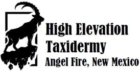 HIGH ELEVATION TAXIDERMY ANGEL FIRE, NEW MEXICO