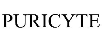 PURICYTE