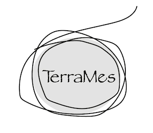 TERRAMES