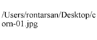 /USERS/RONTARSAN/DESKTOP/CORN-01.JPG