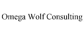 OMEGA WOLF CONSULTING