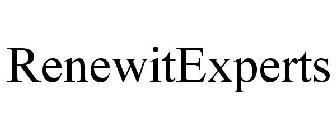 RENEWITEXPERTS