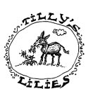 TILLY'S LILIES